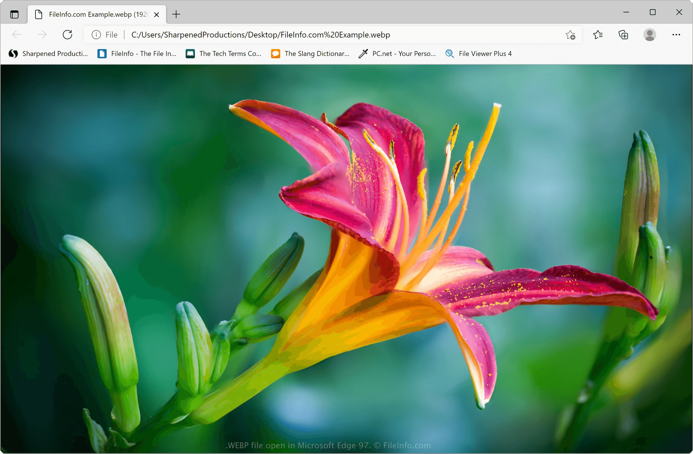 Test webp file title